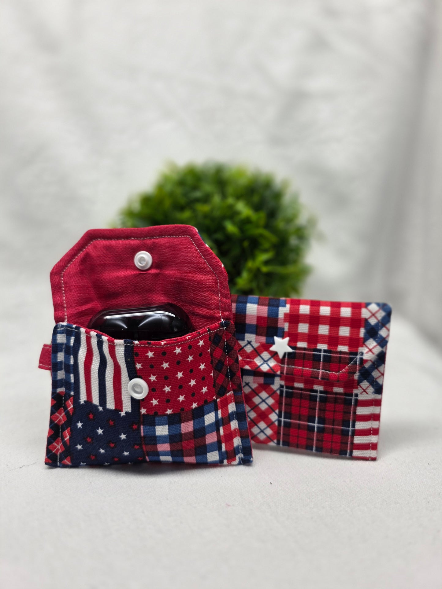 Earbud Case