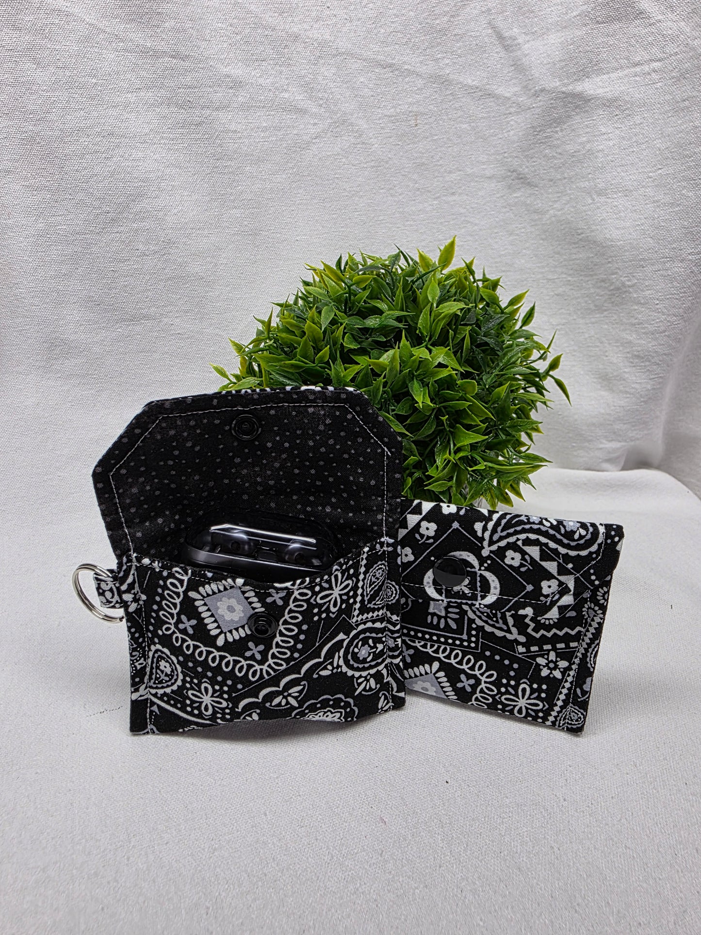 Earbud Case